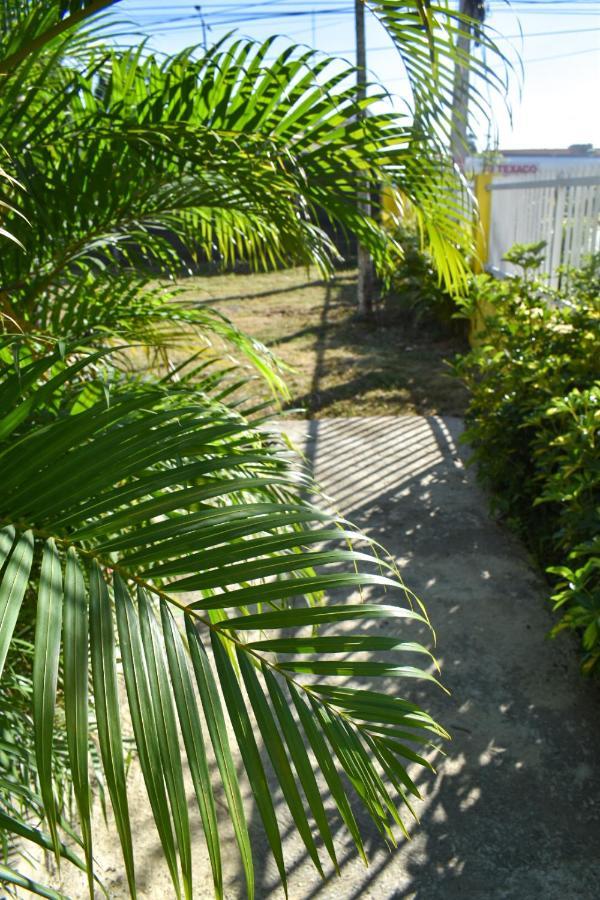 Casa Tropical - Boca Chica Villa Exterior photo